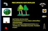 MATERIA:ECOLOGIA CATEDRATICO:YOLANDA … · indice recursos naturales recursos renovables agua suelo energia sustancias nutritivas recursos no renovales minerales