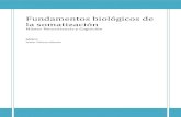 Fundamentos biológicos de la somatización - …fisioeguzki.com/.../08/Fundamentos-biológicos-de-la-somatización.pdf · Ejemplos de aspectos sensoriomotores o ... modelo la respuesta