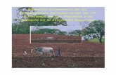 ESCUELA DE AGRICULTURA Y GANADERIA - Monografias.com · “Nos encontramos en el umbral del nuevo milenio, el sector cooperativo agropecuario y agroindustrial de Nicaragua y específicamente