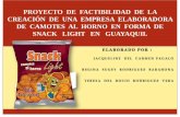 PROYECTO DE FACTIBILIDAD DE LA CREACIÓN DE … · proyecto de factibilidad de la creaciÓn de una empresa elaboradora de camotes al horno en forma de snack light en guayaquil. introducciÓn