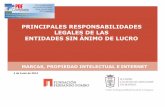 PRINCIPALES RESPONSABILIDADES LEGALES …crsa.icam.es/docs/Marcas, propiedad intelectual e...LEGALES DE LAS ENTIDADES SIN ÁNIMO DE LUCRO MARCAS, PROPIEDAD INTELECTUAL E INTERNET SIGNOS