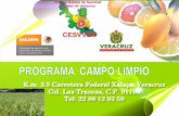 ANTECEDENTES - conadesuca.gob.mx Veracruz/CAMPO LIMPIO... · devolución a Centros de Acopio • Exhortar a los agricultores y asesores técnocos a que establezcan áreas para el
