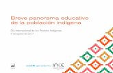 Breve Panorama Educativo de la Población Indígena.publicaciones.inee.edu.mx/buscadorPub/P3/B/107/P3B107.pdf · vicios o modelos educativos; ... de ambos es hablante de lengua indígena