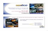 Estratégias para el desarrollo industrial de Baja California · ELECTRONICA DE CONSUMO EQUIPO DE COMPUTO ... Proyectos de inversión en Baja California ... SONY 30 500 TV ’S PLASMA