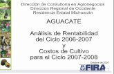 Dirección de Consultoría en Agronegocios Direccion …fira.gob.mx/Nd/AGUACATE_Michoacan_-_Rentabilidad_2006-2007_Cos… · Rendimiento (ton/ha) Estado Superficie (ha) Produccion