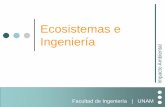 Ecosistemas e ingeniería - ingenieria.unam.mxfuentesgv/ca1/Ecosistemas e ingenieria.pdf · Descomponedores Desintegradores ... cadena alimenticia La compleja relación entre cadenas
