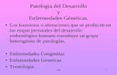 Patología del Desarrollo y Enfermedades Géneticas.ecaths1.s3.amazonaws.com/anatomiapatologicaodontount/1483785856... · Aplasia desarrollo Total / Parcial Renal Hipoplasia acción