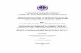 UNIVERSIDAD NACIONAL DE CHIMBORAZO …dspace.unach.edu.ec/bitstream/51000/1335/1/UNACH... · FENOTIPOS Rh, EN EL SERVICIO DE MEDICINA TRANSFUSIONAL ... pruebas de laboratorio que