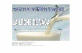 ANÁLISIS DE LA LECHE - Educastur Blogblog.educastur.es/tecnologiasvegadeo/files/2010/12/la-leche.pdf · hacen que la asimilación de la leche de vaca sea más difícil que, por ejemplo,