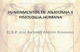 FUNDAMENTOS DE ANATOMIA Y FISIOLOGIA … HUMANA1.pdf · los órganos integran sistemas y aparatos. ... son más laterales con respecto al ombligo) •Superficial: Es lo que está