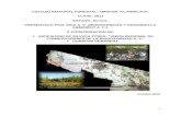 ESTUDIO REGIONAL FORESTAL: UMAFOR …€¦  · Web view2015-12-29 · Los afloramientos de roca en la región son de origen ígneo, ... c/ En otras se integra la agricultura y zonas