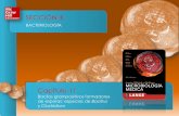 Presentación de PowerPoint - Novellanovella.mhhe.com/sites/dl/free/000001170x/1044098/... · Bacilos grampositivos formadores de esporas: especies de Bacillus y Clostridium w-s.