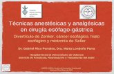 Técnicas anestésicas y analgésicas en cirugía esófago … · SARTD-CHGUV Sesión de Formación Continuada Valencia 31 de Mayo de 2011 Técnicas anestésicas y analgésicas en