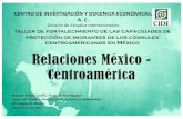 CENTRO DE INVESTIGACIÓN Y DOCENCIA … · Relevancia en los casos de Guatemala y Belice por tratarse de países fronterizos. ... Riesgos: fauna, accidentes geográficos, cuerpos