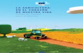 LA AGRICULTURA: EN EL CORAZÓN DE NUESTRA …pagina.jccm.es/europa/pdf/PUBLICACIONES/2017 La agricultura en el... · La información que identifica el tamaño y el método de producción