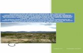 MANIFESTACIÓN DE IMPACTO AMBIENTAL DEL …sinat.semarnat.gob.mx/dgiraDocs/documentos/nl/estudios/2012/19NL... · “aprovechamiento de Áreas para cultivo de papa en terreno rÚstico