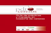 Guia_Cosecha_PDF - PortalFruticola.com · Guía de prácticas y manejos en cosecha de cerezas 2 Calidad y condición Principios básicos de la cosecha de cerezas Momento oportuno