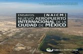 INTERNACIONAL DE LA CIUDAD MEXICOmexicosostenible.org.mx/images/files/ensayos/... · El nuevo Aeropuerto de la Ciudad de México en el nido de las aves de Texcoco. Mariela 23 Aves