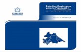 SEFIPLAN COPLADEVER - veracruz.gob.mxveracruz.gob.mx/.../sites/2/2012/01/tf07-er-05-totonaca-reg.pdf · Los lineamientos de Desarrollo Regional en el Estado de Veracruz se ... El