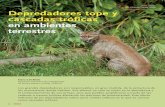 Puma concolor Depredadores tope y cascadas tróficas …assets.wwfar.panda.org/downloads/di_bitetti_2008___depredadores... · 34 refiere a cómo se relaciona con otras unidades (o