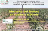 Dinámica del fósforo en suelos y cultivos - IPNIlacs.ipni.net/ipniweb/region/lacs.nsf/0... · Ensayo La Marta -CREA Sur de Santa Fe 2000/01 -Thomas et al. (2001) Sin P. Con P. Dinámica