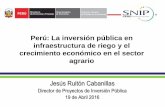 Perú: La inversión pública en infraestructura de riego y ... · crecimiento económico en el sector agrario . Contenido I. La inversión en infraestructura y el crecimiento económico