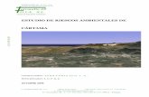 ESTUDIO DE RIESGOS AMBIENTALES DE CÁRTAMA vi-ai.pdf · Procesos geodinámicos 2.1.- Externos Riesgos Geológicos (deslizamientos, desprendimientos, subsidencias, colapsabilidad,