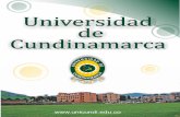 2010 - ucundinamarca.edu.co · Incorporación efectiva de las TIC's a la práctica académica mediante su aplicación contextualizada en propuestas actualizadas de diseño curricular