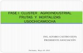 Cluster agroindustrial Frutas y Hortalizas - …asohofrucol.com.co/archivos/biblioteca/biblioteca_258_CLUSTER... · Procesamiento Modelo Fase de la Comercialización CADENA AGROALIMENTARIA