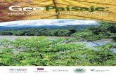 GeoPaisaje - Rainforest Alliance · Revisado por el equipo de Rainforest Alliance ... los gobiernos locales deben considerar ... los procesos de reforestación y restau-