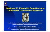 Seminario 95: Evaluación Ecográfica de la Enfermedad … · 2011-04-05 · Departamento de Obstetricia y Ginecología, ... En la mola parcial es posible observar variadas y ...