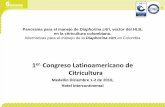 1 Congreso Latinoamericano de Citricultura - … · plantas •Plan de investigación para el complejo D. citri /HLB. ... Estrategia establecida para la prevención y manejo del HLB
