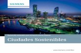 Desarrollo sostenible para infraestructuras urbanas ... · Hablemos de dinero 10 Capítulo Nuestro portafolio para ciudades sostenibles ... de decisiones firme, bien informada y basada