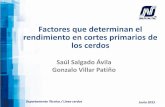 Factores que determinan el rendimiento en cortes …congreso.fmvz.unam.mx/pdf/memorias/Ciencias Veterinarias...Factores que determinan el rendimiento en cortes primarios de los cerdos