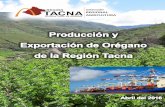 “Producción y Exportación de Orégano en la Región de …agroaldia.minagri.gob.pe/.../produccion_exportacion_oregano.pdf · GENERALIDADES DEL OREGANO 7 1.1. ORÉGANO EN TACNA