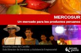 Un mercado para los productos peruanos - … · • Promoción de los productos de América del Sur en Brasil. A cargo del departamento de Promoción Comercial del Ministerio de las