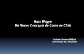 Raza Wagyu Un Nuevo Concepto de Carne en Chile - · PDF fileUn Nuevo Concepto de Carne en Chile Rolando Demanet Filippi Universidad de La Frontera. Raza Wagyu. ... regiones de Japón