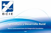 Agricultura y Desarrollo Rural - coin.fao.org · Nombre: PROGRAMA DE DESARROLLO AGRICOLA BAJO RIEGO País: República de Honduras Zona geográfica: 11 departamentos a nivel Nacional