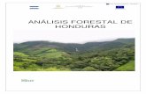ANÁLISIS FORESTAL DE HONDURAS - MOSEFmosef.org.hn/wp-content/uploads/2017/01/Analysis-del... · 2017-01-16 · El clima de Honduras según la Clasificación climática de Köppen