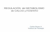 Metabolismo de Calcio y PO4 - biblioceop | Just … · •trastornos de orientación o conciencia •Disminución de motilidad gastrointestinal •Hipertensión •Insuficiencia renal,