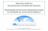 ABA ROLI MÉXICO Iniciativa para el Estado de …abaroli.mx/wp-content/uploads/2015/04/TEMA-2.-Teoría-del-Caso.pdf · curso tÉcnicas, habilidades y destrezas de litigaciÓn oral