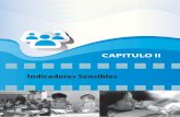 CAPITULO II - portal1.chaco.gov.arportal1.chaco.gov.ar/uploads/multimedia/archivo/_Sistema de... · de la insatisfacción de al menos una de las ... • Vivienda: hogares que habitaran