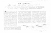 El origen de las células eucariotas - UNLP - Inicio · Christian de Duve_traduccion en INVESTIGACION Y CIENCIA 1996 Created Date: 20130419085023Z ...