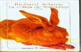 Adams, Richard - La colina de Watershipdata.over-blog-kiwi.com/0/84/54/61/201311/ob_257330_adams-richard... · Estoy en deuda, por su conocimiento de los conejos y sus costumbres,
