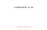 CAROZZI S.A. - Bolsa de Santiago generales/CAROZZI... · reflejando rápidamente en las encuestas de opinión pública, sin que los actores políticos, gubernamentales, empresariales