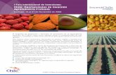 I Foro Internacional de Inversiones: Chile: … · industria y consolidar a Chile como uno de los principales países productores ... Orientación en la Gestión de Proyectos. ...