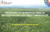 Subsecretaría de Producción Forestalflegt.info/wp-content/uploads/2013/02/Reforestacion-comercial_P... · Forestal Reforestación Investigación Capacitación Difusión Sistema