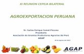 Competitividad y Productividad de la Sierra para …cepeja.org/pdfs/enriquecamet.pdf · • Asociación Peruana de Productores y Exportadores de Mango – APEM • Instituto Peruano