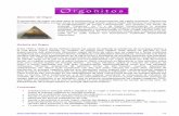 Generador de Orgon - orgonitos.files.wordpress.com · experimentos que alternando diferentes capas de fibra de vidrio que es orgánica y fibras metálicas ... • Desconecta y repele