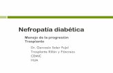 Manejo de la progresión Trasplante - smiba.org.ar · KDOQI.Diabetes guideline AJKD 2012;60(5):850-86 KDIGO 2012. GPG on CKD, K Int. supp 3(1) jan2013 . hipoglucemiantes no insulínicos